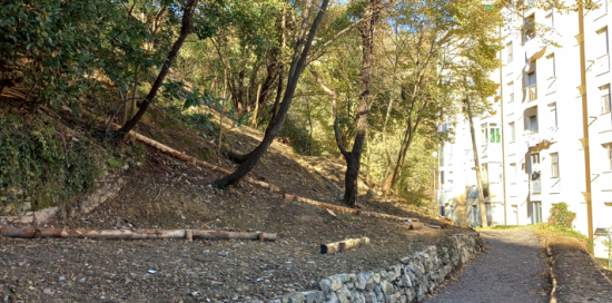 via delle Ginestre