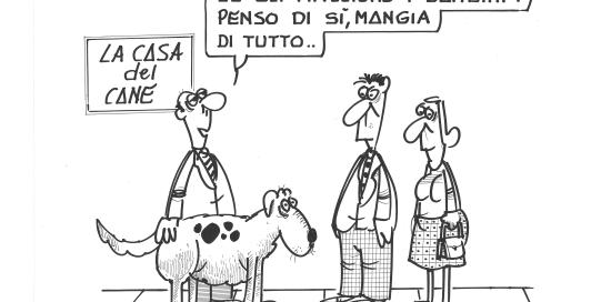 vignetta 2