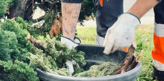 Giardinieri al lavoro nei Giardini Vittime dei Lager Nazisti, a Principe