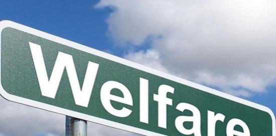 cartello welfare