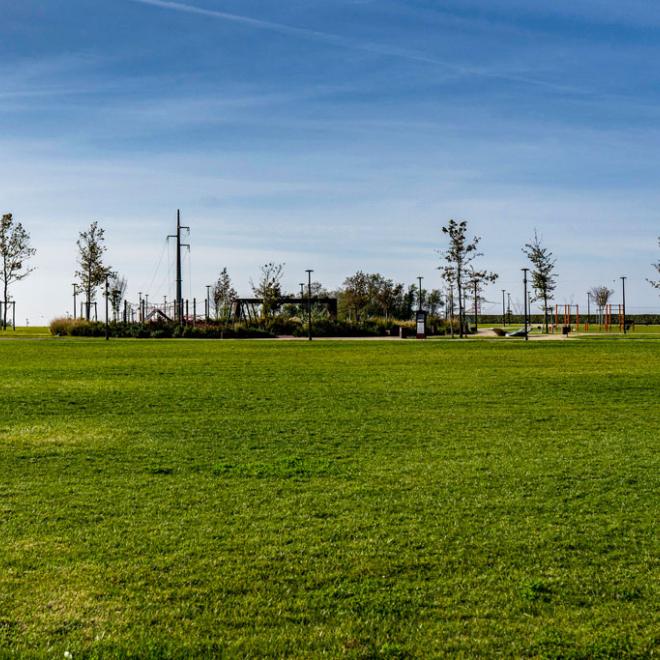 Polo Tecnologico Degli Erzelli, esterno e panoramica del parco e area verde