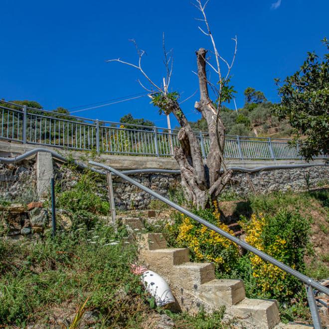 Rio Fagaggia, interventi per la messa in sicurezza a  a monte di Via Villini Negrone