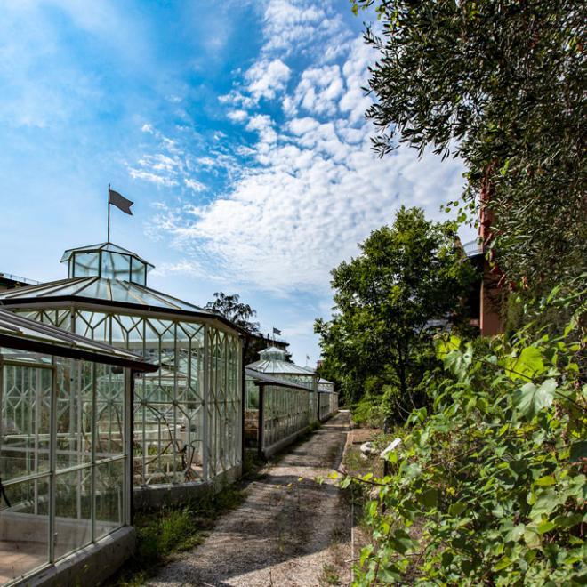 Villa Pallavicini, serre botaniche