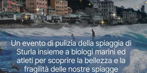 mare d'inverno