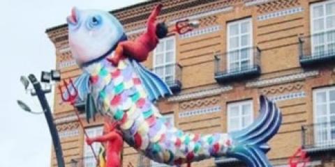 sardina colorata