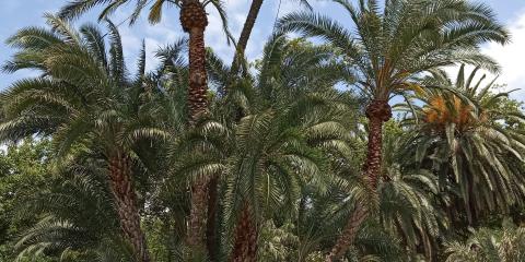 Parco Nervi