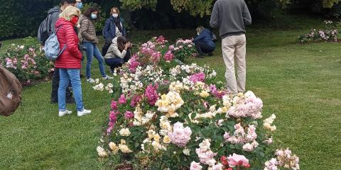 Roseto Viacava