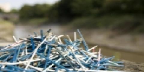 Cotton fioc nelle spiagge
