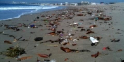 Spiagge italiane invase dai rifiuti