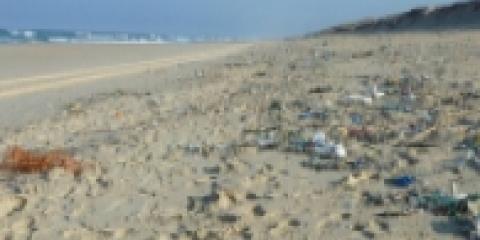 Rifiuti in spiaggia