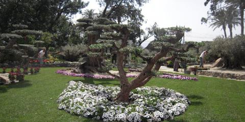 euroflora