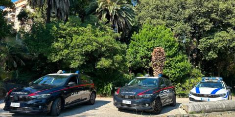 Auto dei Carabinieri e della Polizia Locale parcheggiate in un parco