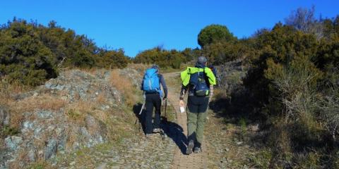 persone che camminano nella natura