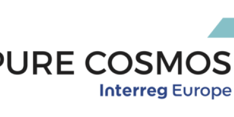logo pure cosmos