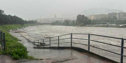 Torrente Branega