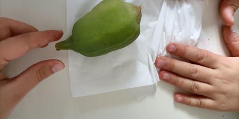 attività con elementi naturali  in classe