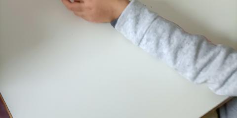 attività in classe con frutti e piante 
