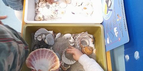 attività con materiali naturali