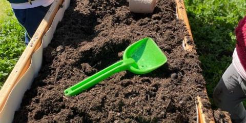 attività di semina in giardino