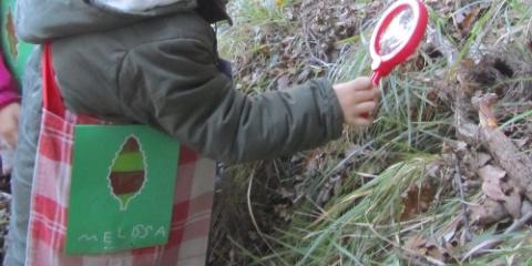 bambini a spasso nel bosco