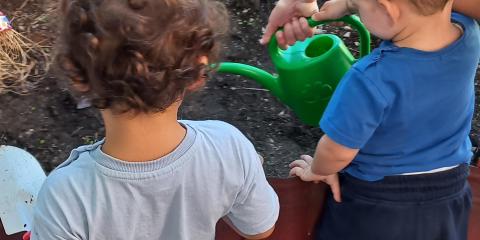 prendiamo cura del nostro giardino