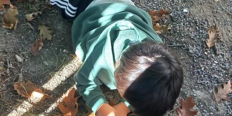 esplorando la natura si impara 