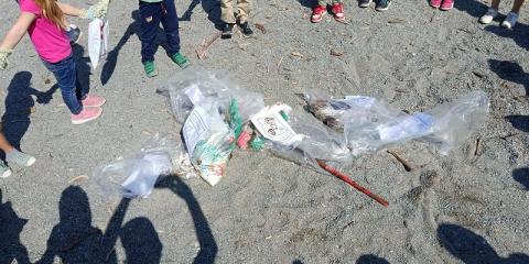 progetto Spazzapnea sulla spiaggia