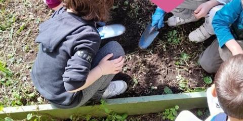 attività in giardino