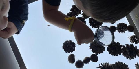 osservazione di elementi naturali con la lente d'ingrandimento