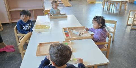 attività di manipolazione