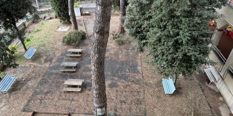 giardino con alberi e panchine