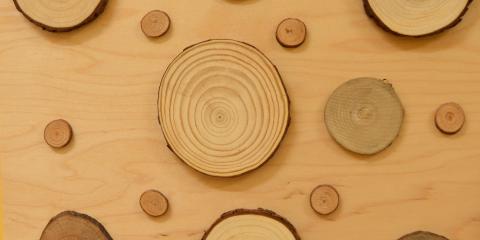 gioco con elementi naturali