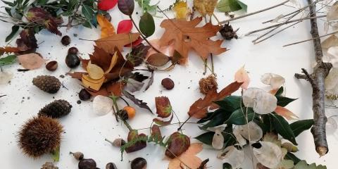 attività con castagne, pigne, foglie