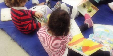 attività di lettura