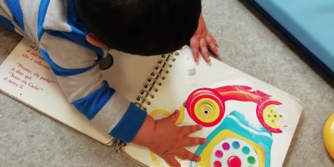 attività di lettura
