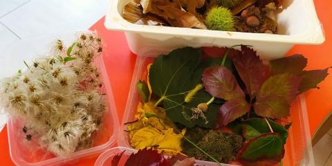 foglie, ricci e castagne