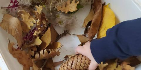 attività con elementi naturali  in classe