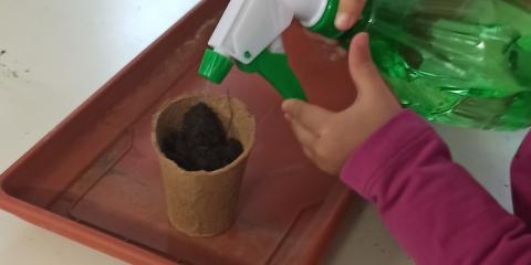 semina nei vasetti  in classe