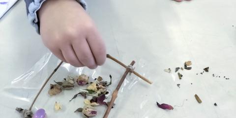 attività in classe con elementi naturali