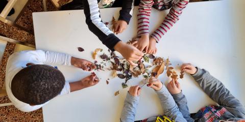 giochi in classe con elementi naturali
