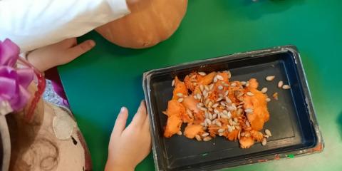attività con la zucca 