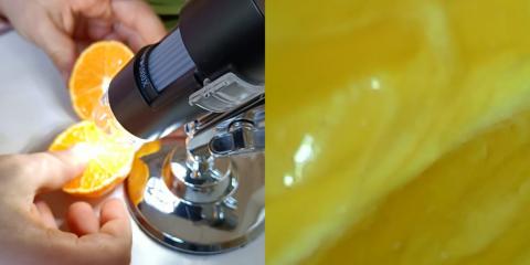 osservazione con lenti d'ingrandimento di una fetta d'arancia 