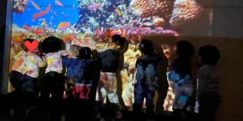 visita all'acquario