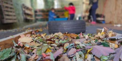 attività  con le foglie in giardino 