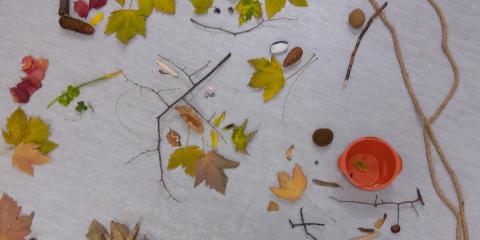 attività creativa  con elementi naturali