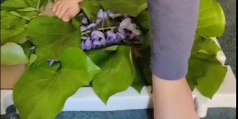 attività con elementi naturali  in classe