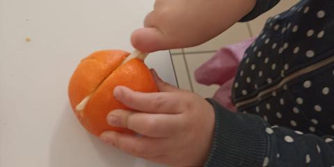 attività di vita pratica-Montessori