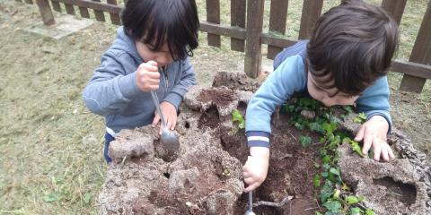 giochi intorno all'albero