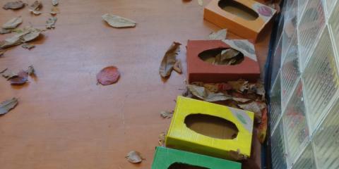 Giochi con le foglie