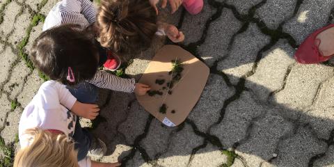 giochi in terrazzo col muschio